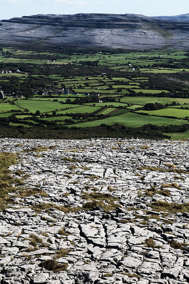 Irland Herbert Grabe