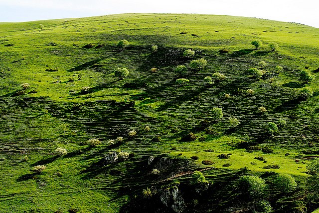 Valle Vasto @ Herbert Grabe