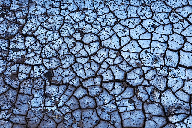 Salzkruste Herbert Grabe